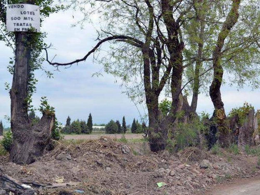 Otra vez estafadores venden lotes �truchos� en Los Corralitos