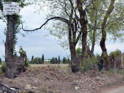 Otra vez estafadores venden lotes �truchos� en Los Corralitos