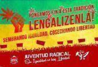 Legalizaci�n de la marihuana: Fuerte cr�tica a la Juventud Radical platense por su postura a favor