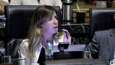 Cerruti se trenz� con todo el recinto por la reforma del C�digo