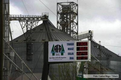 La mitad de la cosecha de granos est� retenida por los productores