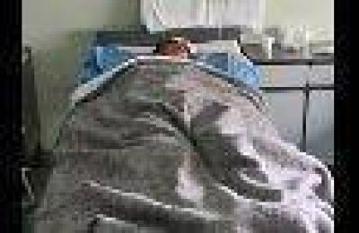 Un hombre fue brutalmente atacado por perros y qued� internado en grav�simo estado en el Central