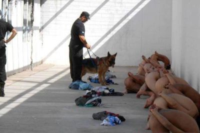 Las im�genes de trato inhumano en la c�rcel de San Luis llegaron a la televisi�n espa�ola