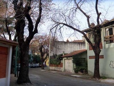 Aniversarios de los barrios Agronom�a y Parque Chas