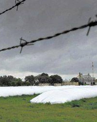 El campo ganar�a con la 125