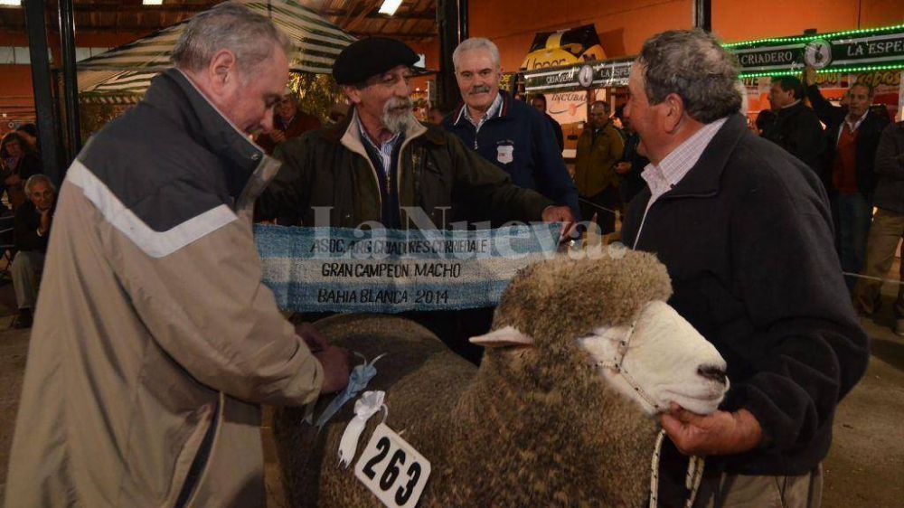Don Avelino vio la luz y se qued� con el Gran Campe�n Angus de Villa Bordeu 2014