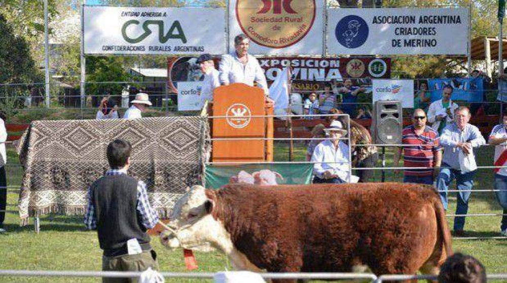 El gran campe�n de la exposici�n bovina se vendi� en 50.000 pesos