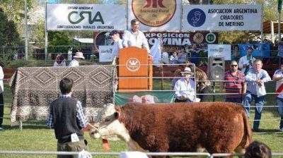 El gran campe�n de la exposici�n bovina se vendi� en 50.000 pesos