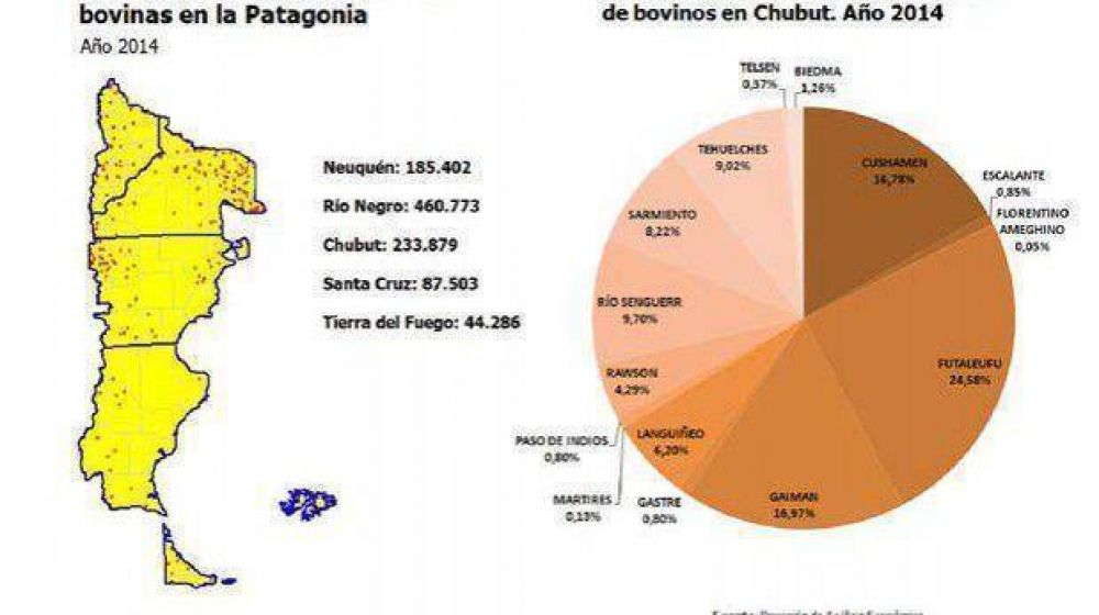 La cr�a de bovinos es una actividad que se consolida en el territorio chubutense