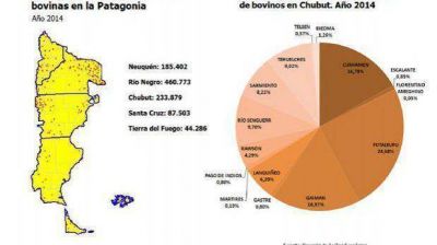 La cr�a de bovinos es una actividad que se consolida en el territorio chubutense
