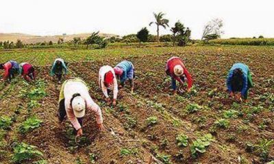 C�maras empresarias de la provincia pretenden cambiar la matriz productiva