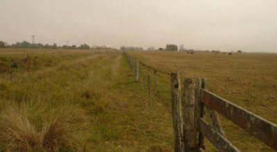 Ruralistas cruzaron la suba del inmobiliario rural que ministro de Scioli confirm� en su defensa