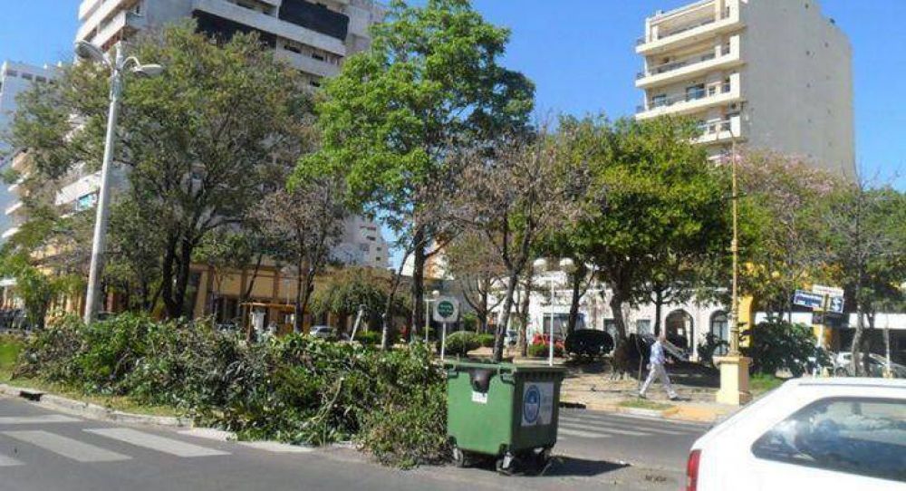 Destacable: brinda est�tica y mayor seguridad
