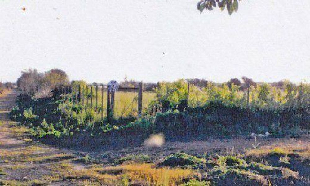 Vecinos buscan frenar estudios t�cnicos para la instalaci�n del basural