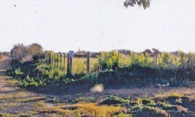 Vecinos buscan frenar estudios t�cnicos para la instalaci�n del basural