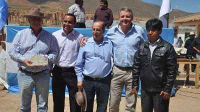 Energ�a el�ctrica plena para la comunidad de Abd�n Castro Tolay