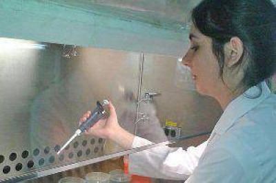 Una santiague�a fue becada para investigar sobre Alzheimer en Par�s