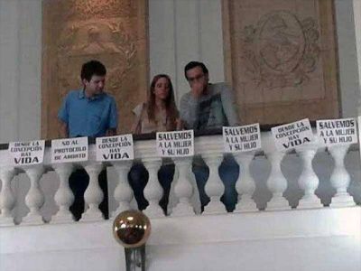 Pol�mica y cruces en la Legislatura con una senadora de izquierda por el protocolo del aborto no punible
