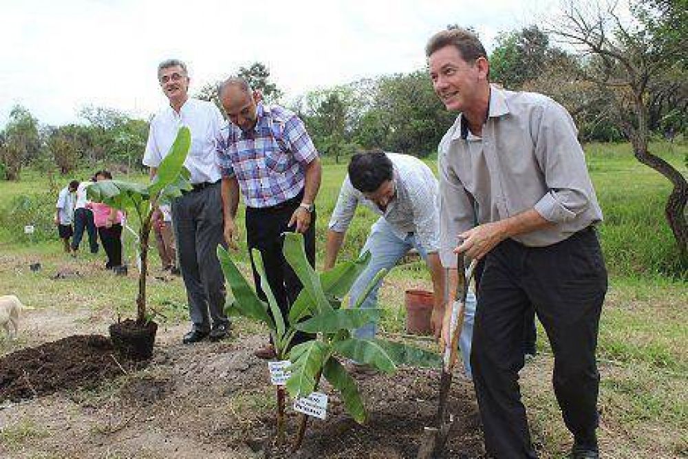 En el Bot�nico se hizo la apertura del primer Jard�n Comestible y Sustentable de Argentina