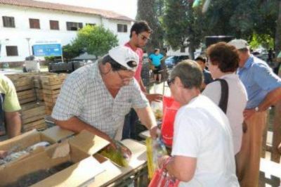 Frutas, verduras y carne a precios populares en Paran�