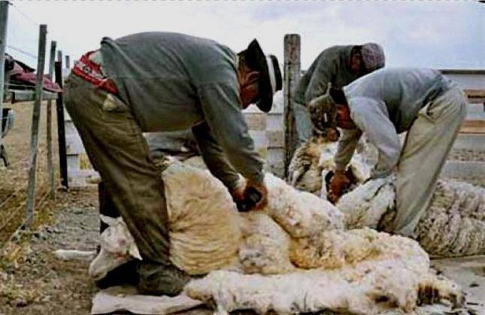 Proponen que trabajadores rurales perciban zona desfavorable
