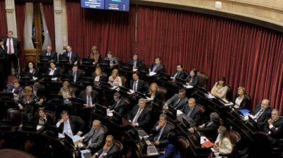 La reforma petrolera se aprob� con el voto oficialista y la negativa del arco opositor