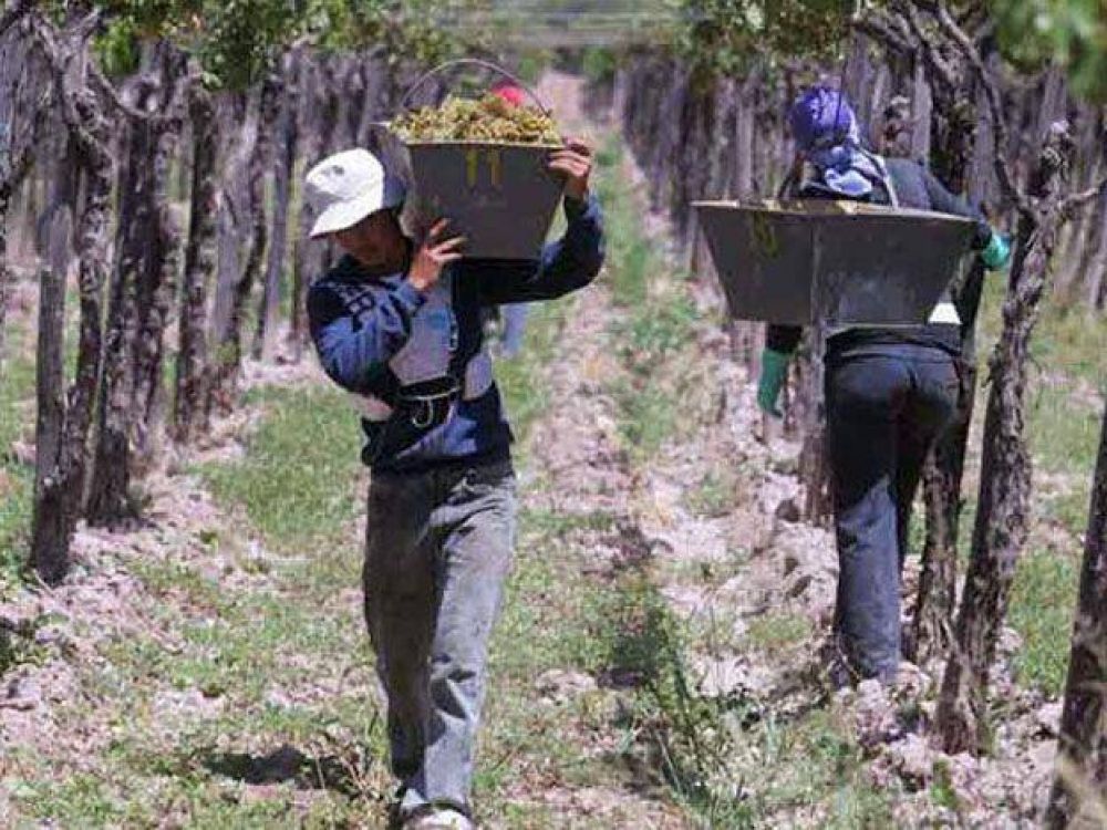 Mendoza invertir� m�s de $130 millones en medidas para el sector vitivin�cola