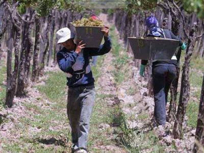 Mendoza invertir� m�s de $130 millones en medidas para el sector vitivin�cola