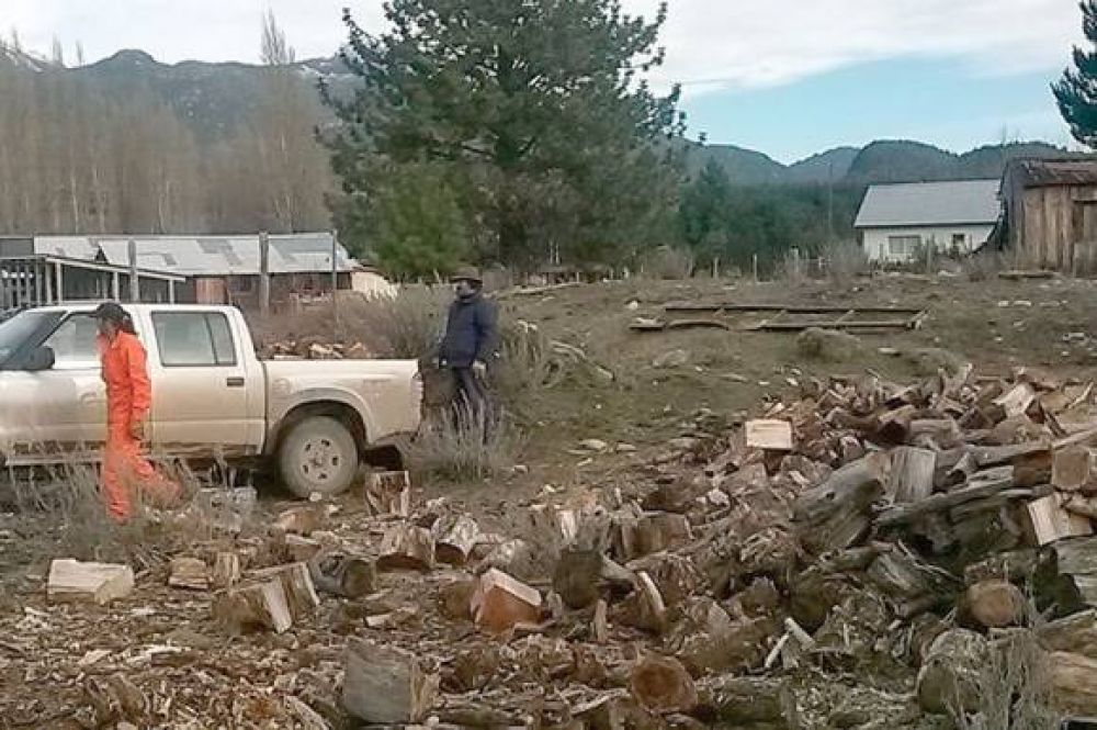 Durante el invierno, CORFO entreg� 350 metros c�bicos de le�a