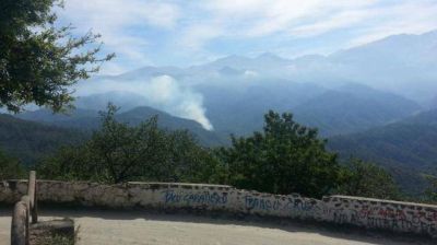 Se incendian �rboles y pastizales en La Banderita