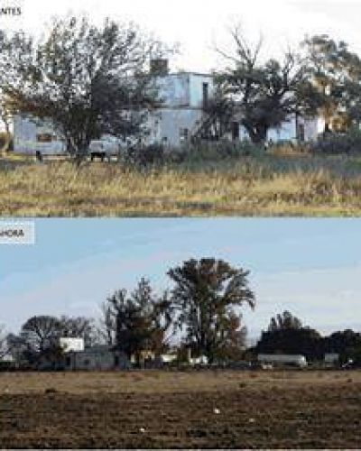 La memoria y las pruebas pisoteadas