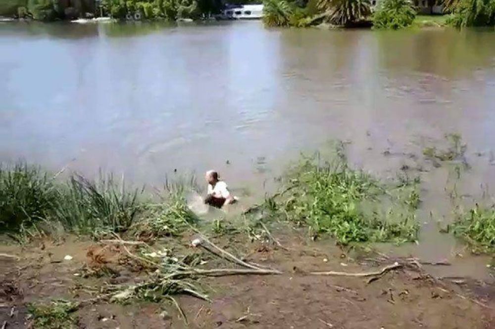 Se tiraron al r�o y salvaron a un perro