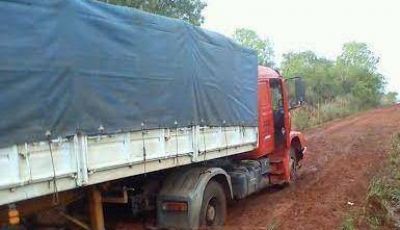 Contrabando de porotos por caminos vecinales para evadir DGR