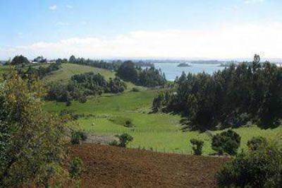 LA CORTE ANUL� UN FALLO QUE ENTREGABA TIERRAS MAPUCHES PARA UN ESTANCIERO