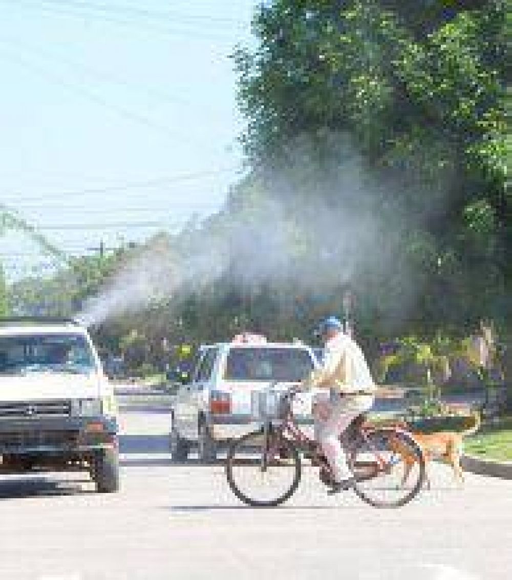 Dengue: en la �ltima semana las brigadas trabajaron en m�s de 2.450 viviendas