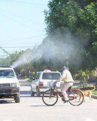 Dengue: en la �ltima semana las brigadas trabajaron en m�s de 2.450 viviendas