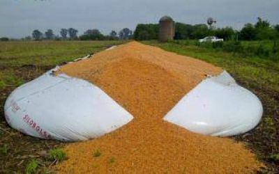 Destruyen un silo bolsa con ma�z en Ca�uelas y acusan al Gobierno
