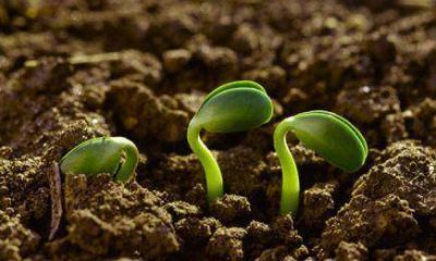 �Hablamos de producci�n agroecol�gica y no de producci�n org�nica�