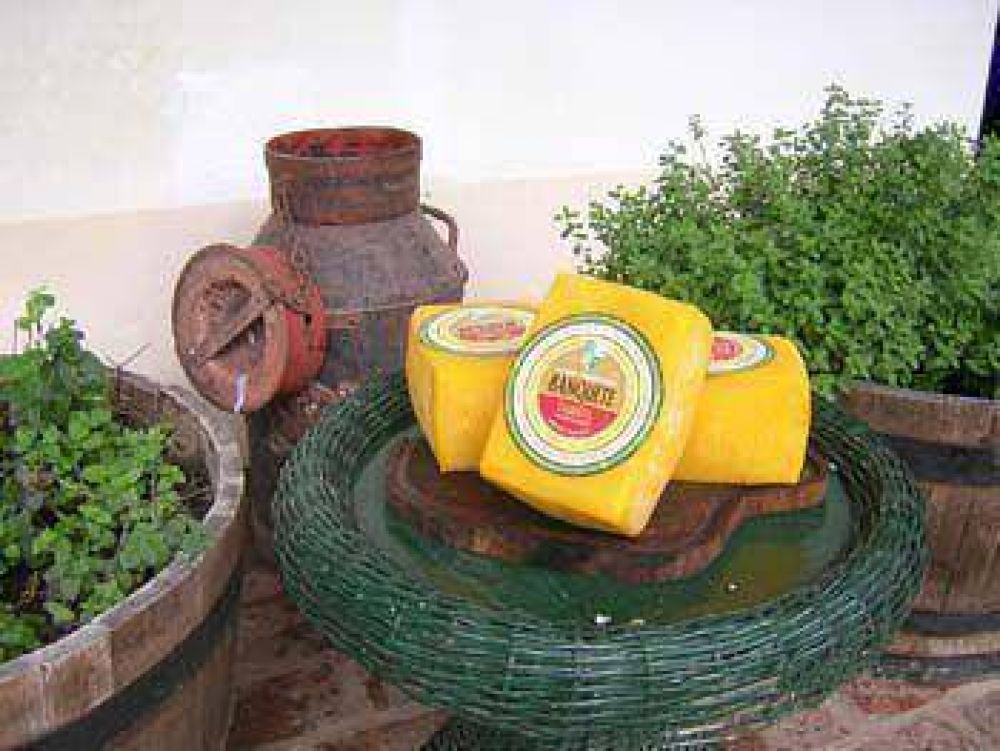 Por sumar a otras ciudades, el queso tandilense no tendra denominacin de origen