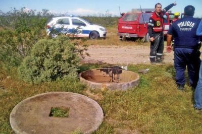 Encuentran en un campo a un hombre que sobrevivi� dos d�as dentro de una c�mara de desag�e