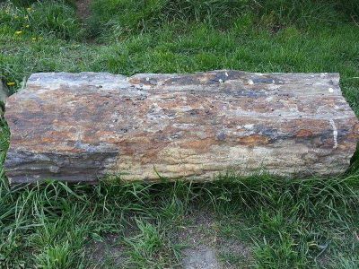 Garc�a Larraburu recorri� el museo Paleontol�gico