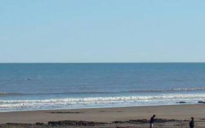 Sorprendente avistamiento de orcas en las costas de Monte Hermoso