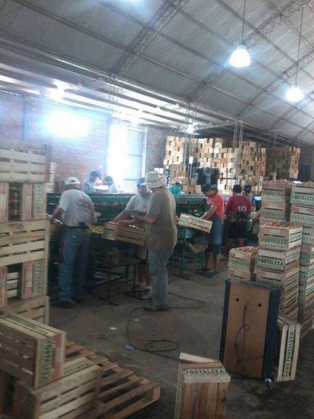 Lavalle: detectan nuevamente trabajadores hort�colas �en negro�