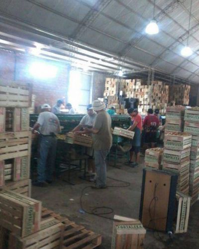 Lavalle: detectan nuevamente trabajadores hort�colas �en negro�