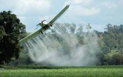 Ramallo: Buscan regular el uso de agroqu�micos
