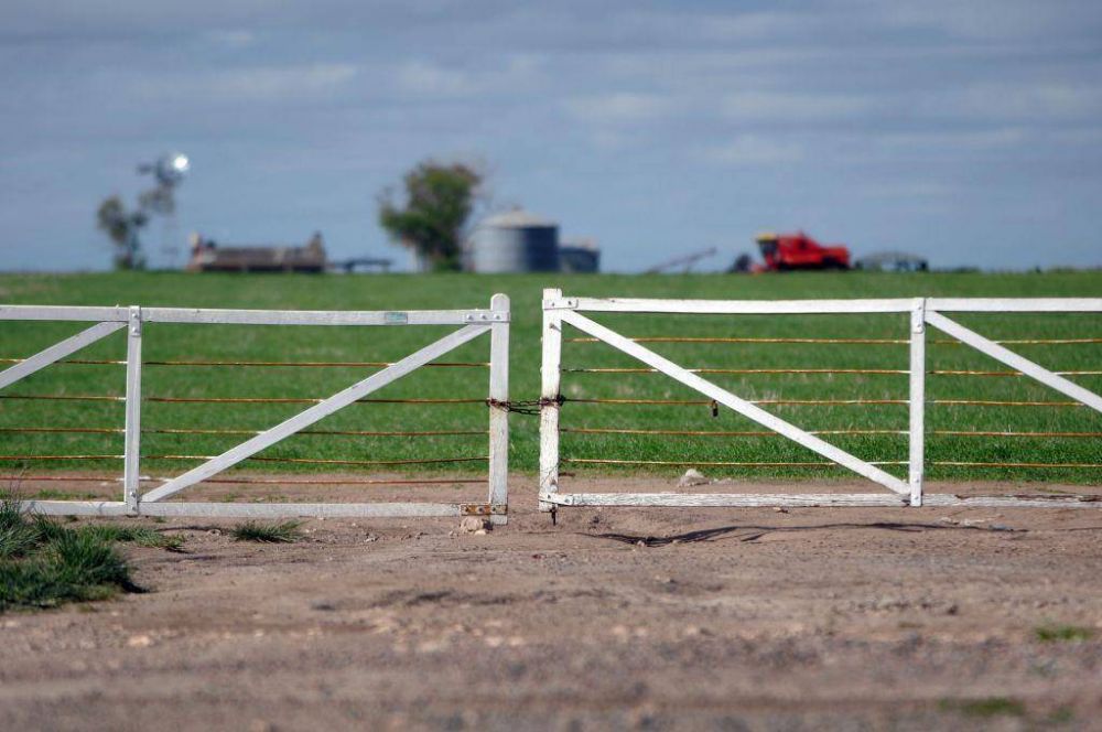 Al final, el exceso de lluvias le trajo m�s dolores de cabeza que soluciones al campo