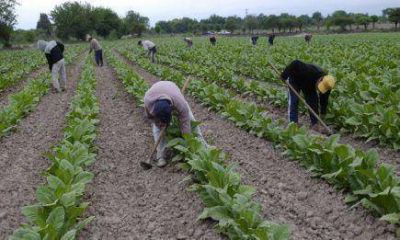 Ley de fomento a la producci�n agroecol�gica: Piden se revea art�culo sobre financiaci�n