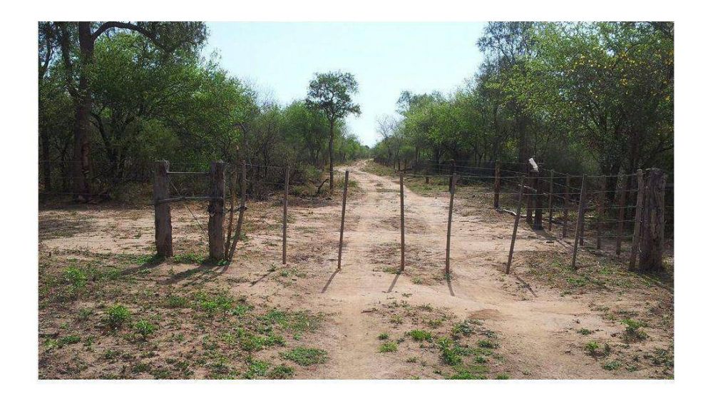 Laderos del poder pol�tico se siguen adue�ando de tierras en el sur de Anta