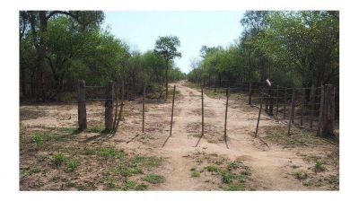 Laderos del poder pol�tico se siguen adue�ando de tierras en el sur de Anta