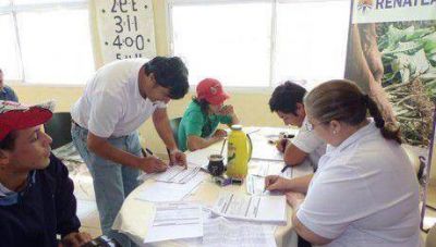 Corrientes: Registran a m�s de 30 trabajadores forestales en Santo Tom�